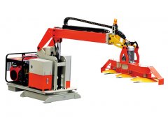 绿篱修剪都有那些需要注意的