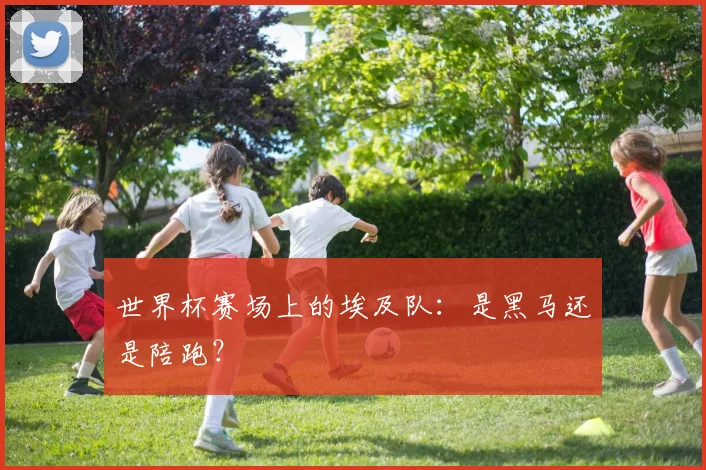 世界杯赛场上的埃及队：是黑马还是陪跑？