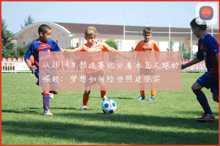 从2014年预选赛比分看冰岛足球的崛起:梦想如何险些照进现实