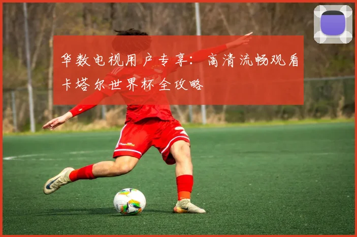 华数电视用户专享:高清流畅观看卡塔尔世界杯全攻略