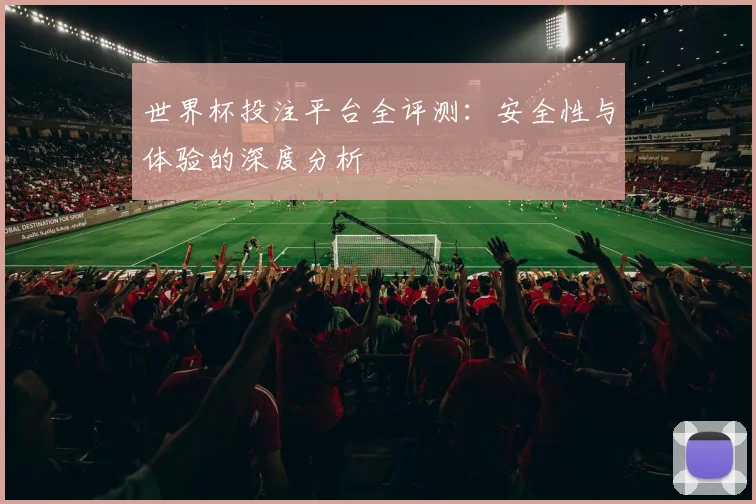 世界杯投注平台全评测：安全性与体验的深度分析