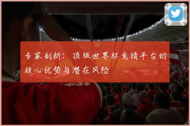 专家剖析:顶级世界杯竞猜平台的核心优势与潜在风险