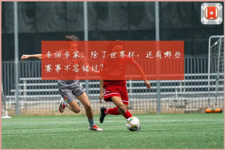 专访专家:除了世界杯,还有哪些赛事不容错过?