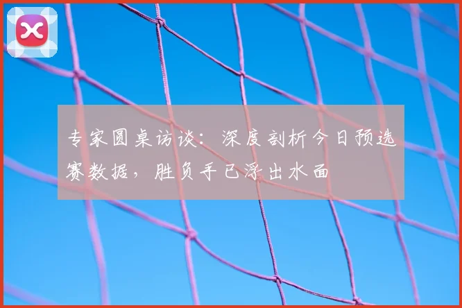 专家圆桌访谈:深度剖析今日预选赛数据,胜负手已浮出水面