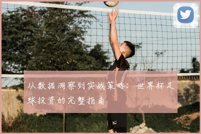 从数据洞察到实战策略：世界杯足球投资的完整指南