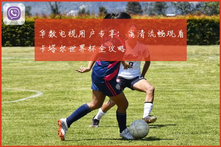 华数电视用户专享:高清流畅观看卡塔尔世界杯全攻略