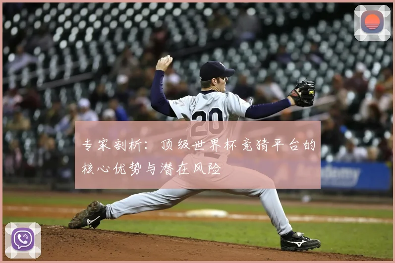 专家剖析:顶级世界杯竞猜平台的核心优势与潜在风险