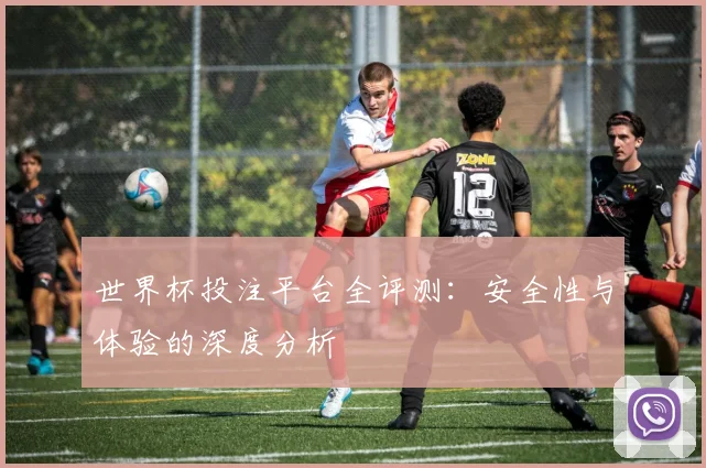 世界杯投注平台全评测:安全性与体验的深度分析