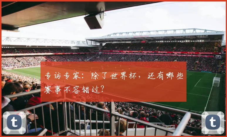 专访专家：除了世界杯，还有哪些赛事不容错过？