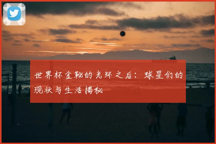 世界杯金靴的光环之后:球星们的现状与生活揭秘