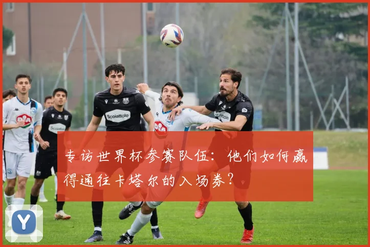 专访世界杯参赛队伍：他们如何赢得通往卡塔尔的入场券？